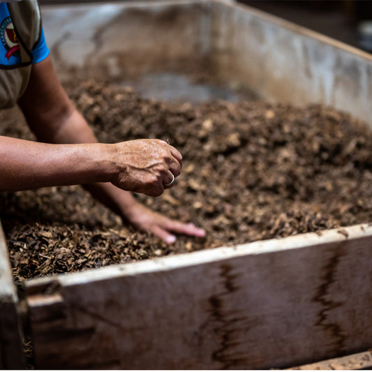 Why We Think Home Composting Is So Beneficial to Your Allotment