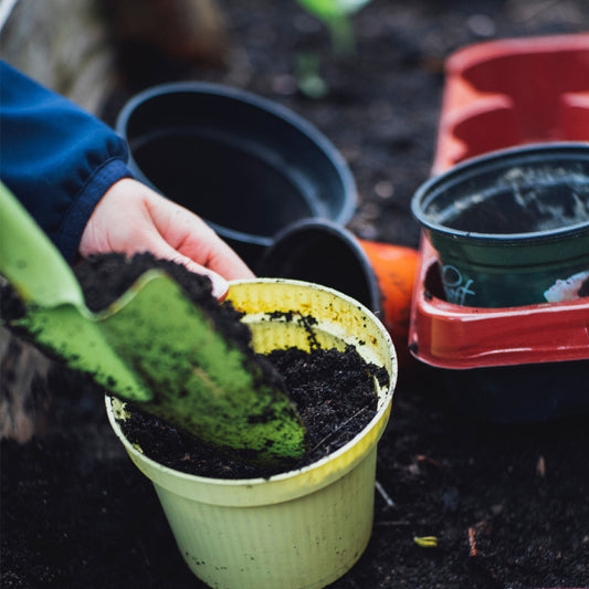 The Health & Wellbeing Benefits of Gardening