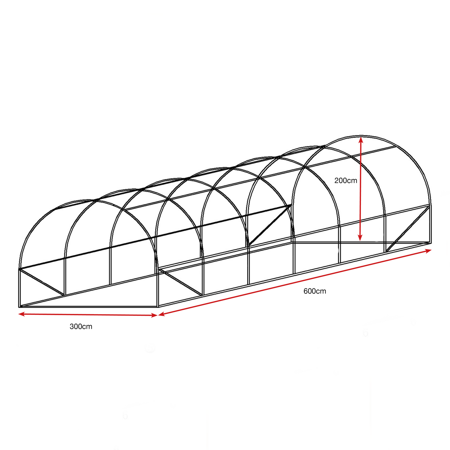 Large Polytunnel 6m x 3m