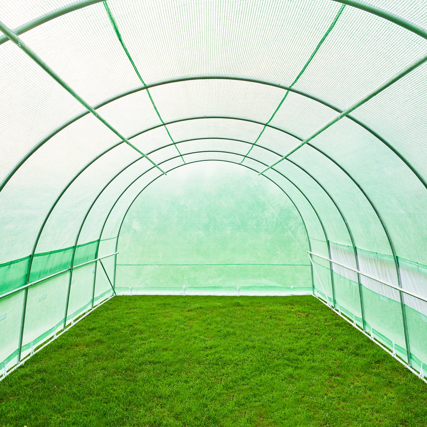 Large Polytunnel 6m x 3m