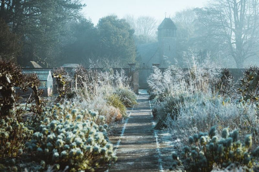 How to Prepare Your Allotment for Winter