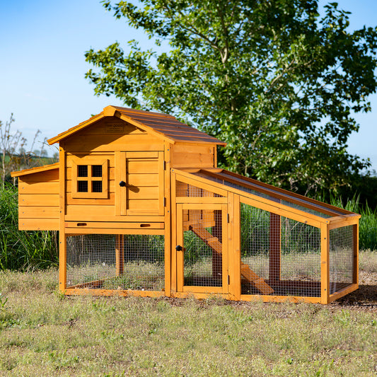 Large Chicken Coop - Windsor