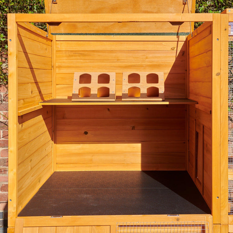 Stunning Extra Large Bird Aviaries For Birds image