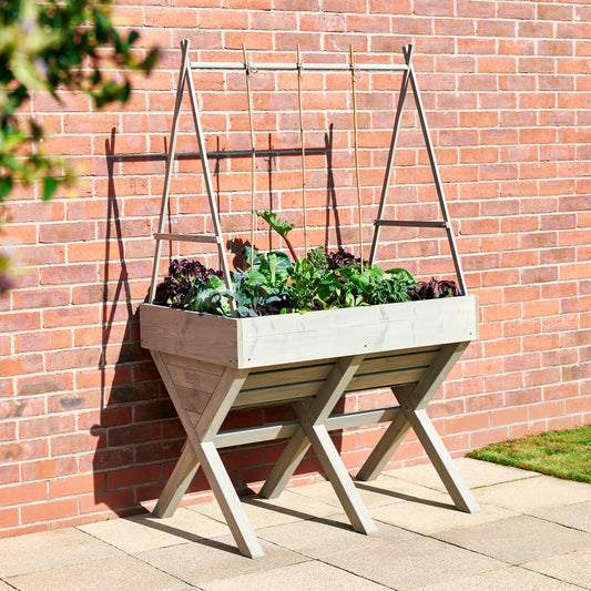 Large Vegetable Planter